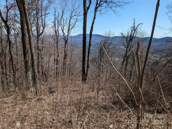 2687 Creston DR #T-26, Black Mountain, NC 28711