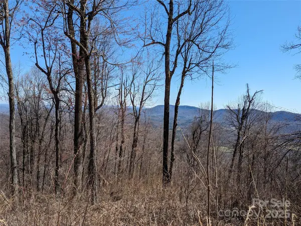 2687 Creston DR #T-26, Black Mountain, NC 28711