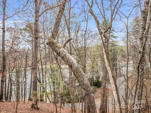 0 Holmes RD, Lake Lure, NC 28746