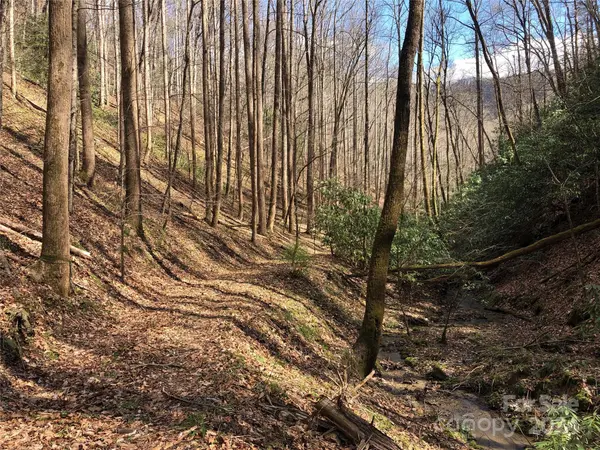 0 NC Highway 90 E None, Lenoir, NC 28645