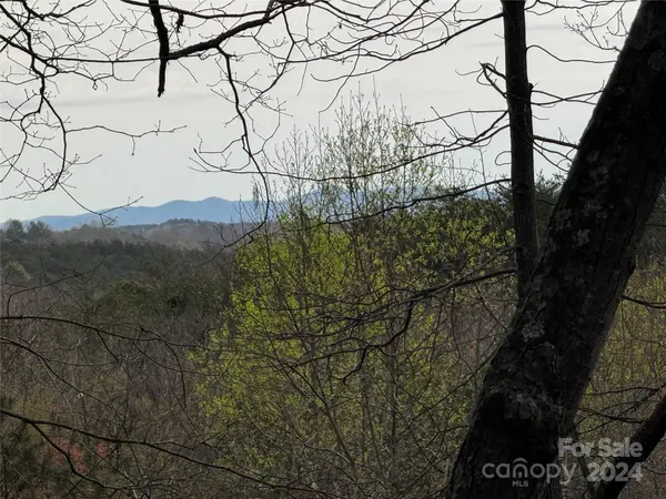 0 Wilkerson CT #16, Lake Lure, NC 28746