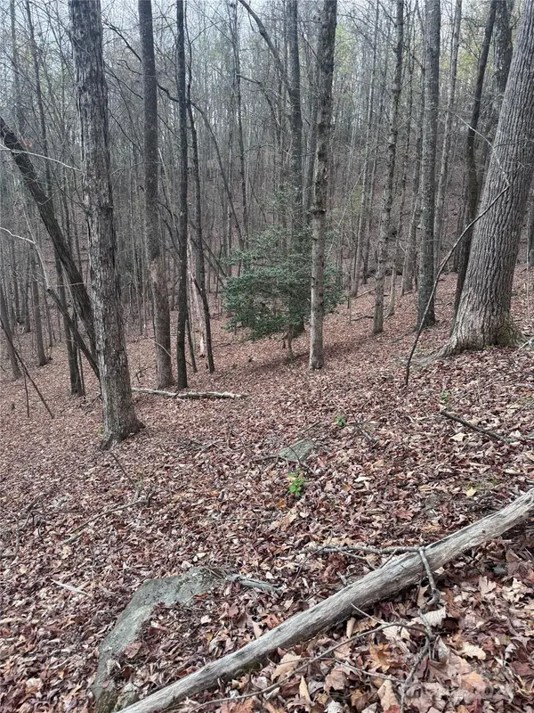 0 Wilkerson CT #16, Lake Lure, NC 28746