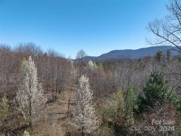 00 Woodland DR, Waynesville, NC 28786