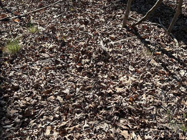 4 AC Ashley RD, Indian Land, SC 29707