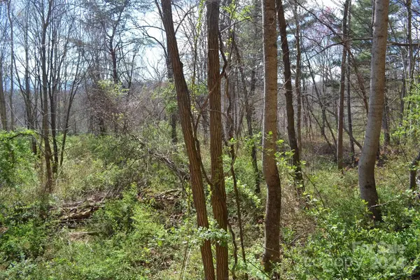 Lot 8 Town Mountain RD, Asheville, NC 28804