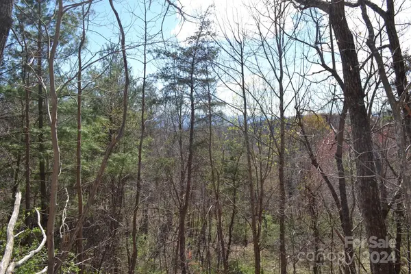 Lot 9 Town Mountain RD, Asheville, NC 28804