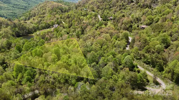 00 Troutman TRL, Leicester, NC 28748