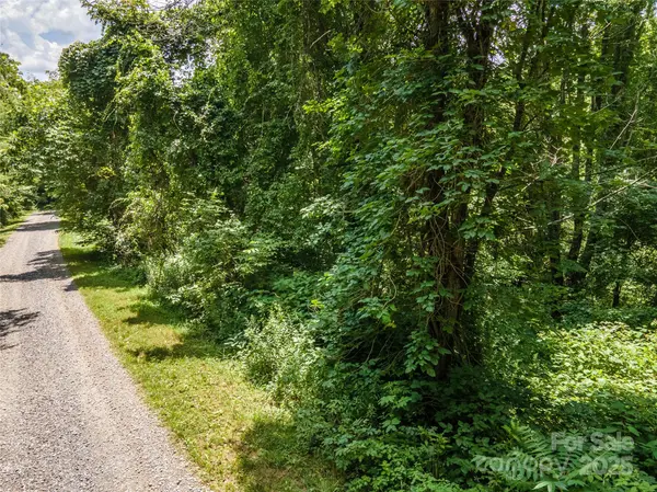 00 Troutman TRL, Leicester, NC 28748