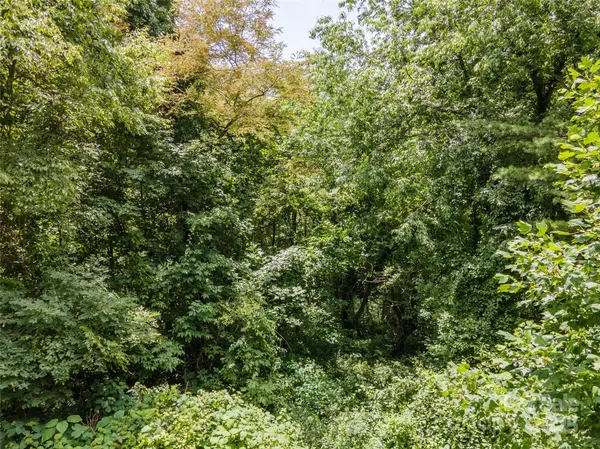 00 Troutman TRL, Leicester, NC 28748