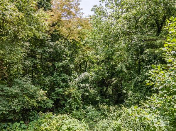 00 Troutman TRL, Leicester, NC 28748