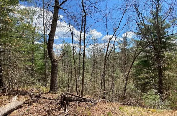 Lot 3 on Saturn WAY #3, Bryson City, NC 28781