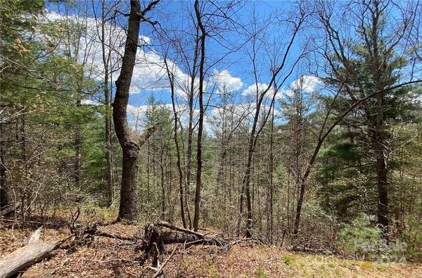 Lot 3 on Saturn WAY #3, Bryson City, NC 28781
