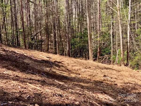 4.73 acres, Lot 376 Table View LN #376, Lenoir, NC 28645