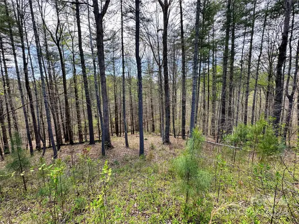 234 E Settings BLVD NW #67, Valdese, NC 28609