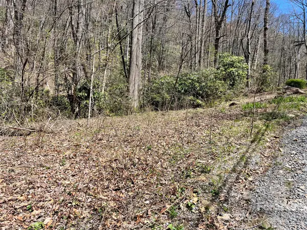 000 Pisgah Mountain RD, Canton, NC 28716