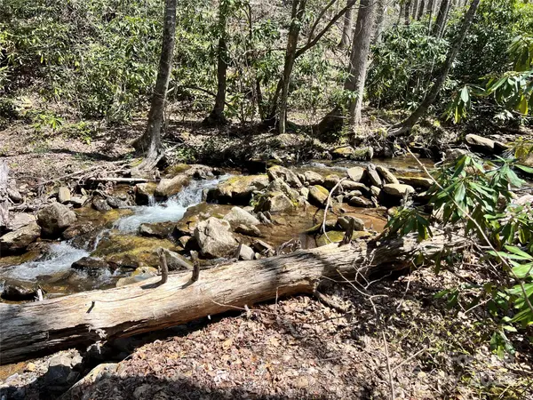 000 Pisgah Mountain RD, Canton, NC 28716