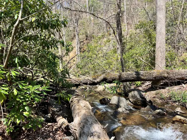 000 Pisgah Mountain RD, Canton, NC 28716
