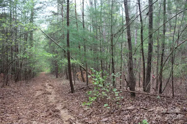 350 Sycamore AVE NW #6 & 2, Valdese, NC 28690