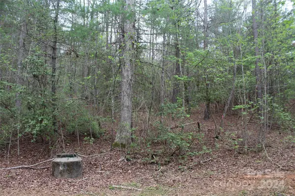 350 Sycamore AVE NW #6 & 2, Valdese, NC 28690