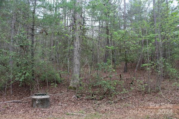 350 Sycamore AVE NW #6 & 2, Valdese, NC 28690