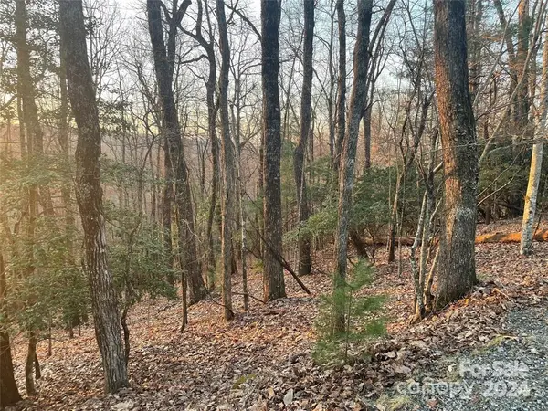 TBD Connestee TRL, Brevard, NC 28712