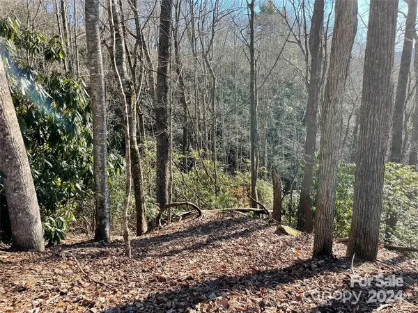 TBD Tsuganawvi CT, Brevard, NC 28712