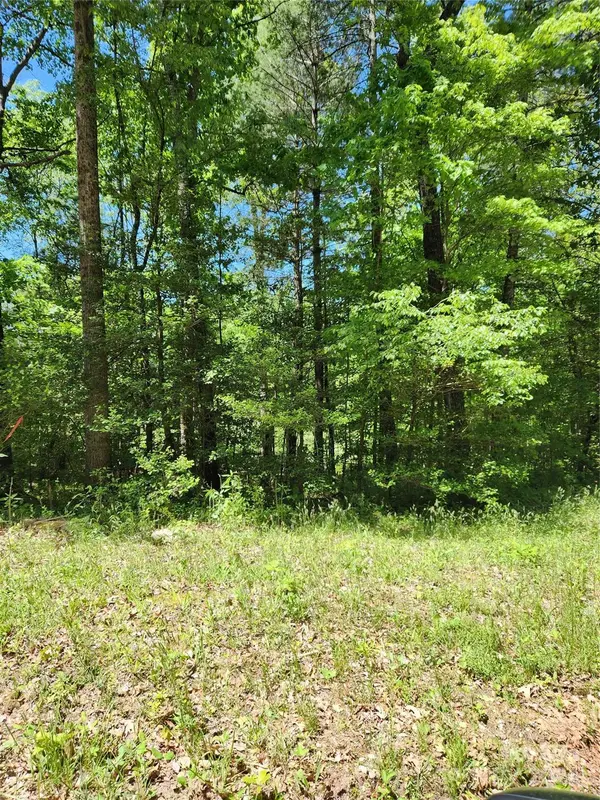 9 Tadpole LN, Taylorsville, NC 28681