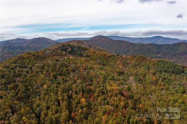 1375 Swing RD, Burnsville, NC 28714
