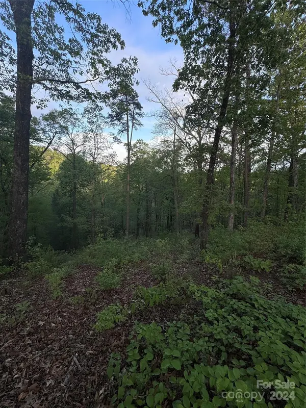 0 Willow Top LN #315, Lake Lure, NC 28746