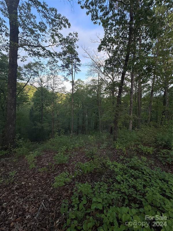 0 Willow Top LN #315, Lake Lure, NC 28746