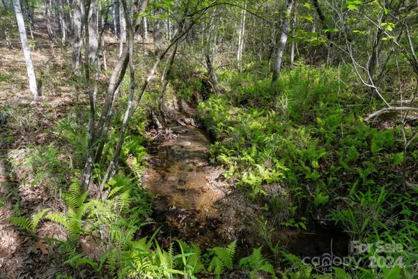 99999 Shady Bark LN #41, Rutherfordton, NC 28139