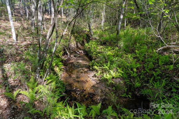 99999 Shady Bark LN #41, Rutherfordton, NC 28139