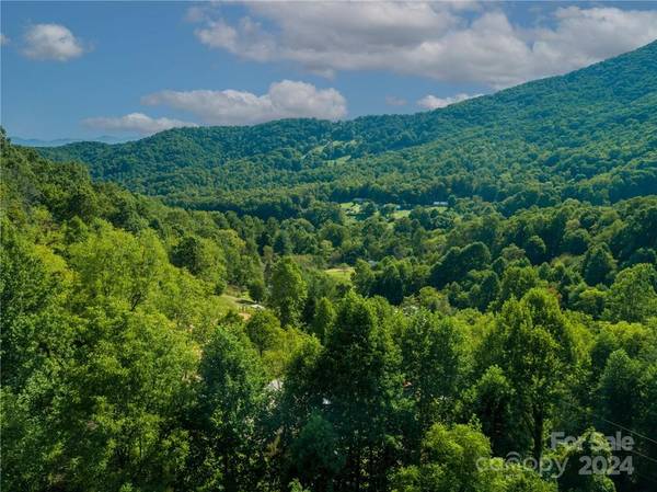 58 Grooms RD, Candler, NC 28715