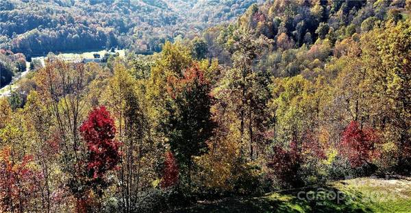 LOT 115 Campbell Mountain DR #Lot 115 The Knolls, Waynesville, NC 28785
