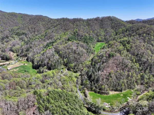 2180 Pigeon Roost RD, Green Mountain, NC 28740