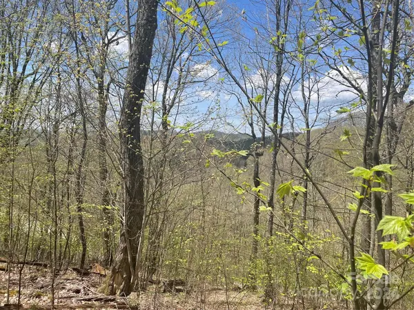 000 El Miner DR #515, Mars Hill, NC 28754