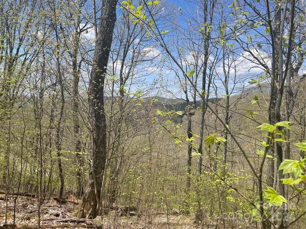 000 El Miner DR #515, Mars Hill, NC 28754