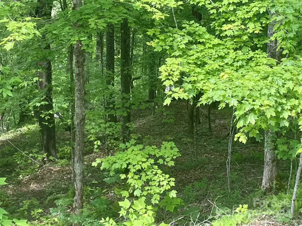 000 El Miner DR #577, Mars Hill, NC 28754