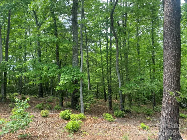 Lot 49 Bald Eagle LN, Marion, NC 28752