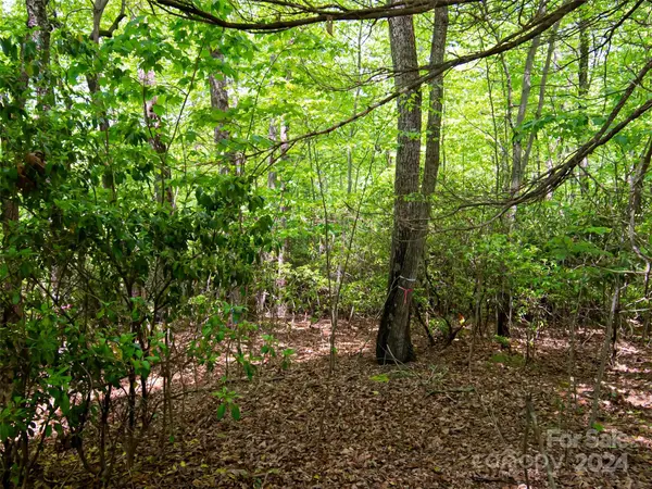 185 Crossvine TRL, Hendersonville, NC 28739