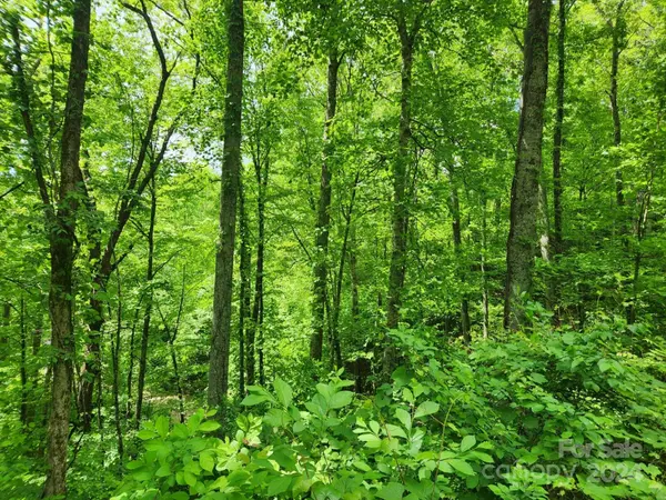 000 Chandra LN #402, Leicester, NC 28748