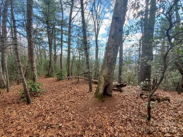 00 Elkins RD #20, Bakersville, NC 28705