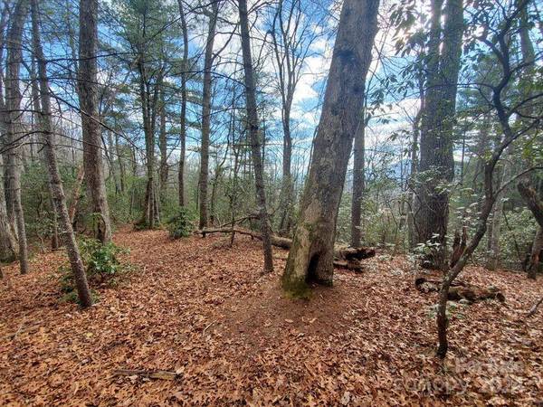00 Elkins RD #20, Bakersville, NC 28705