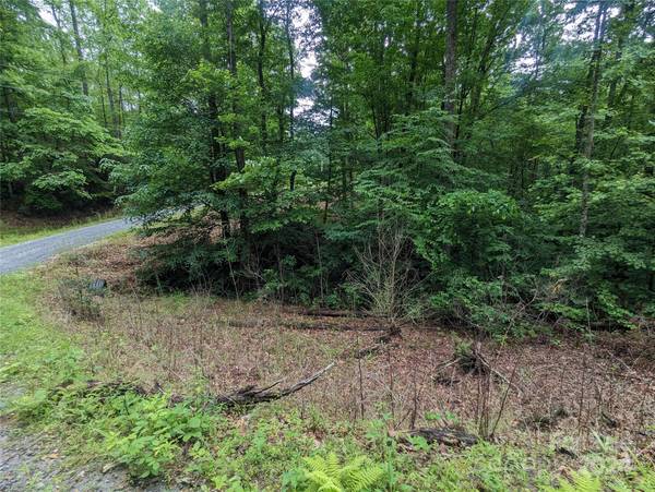 00 Jones CT #LOT 552, Lake Lure, NC 28746
