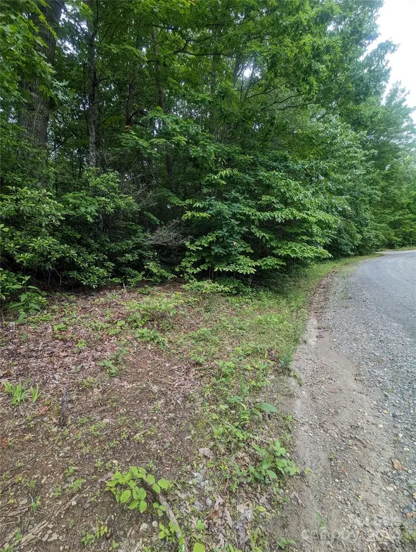 00 Jones CT #LOT 552, Lake Lure, NC 28746