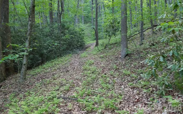 A2 CARDINAL DR, Lake Toxaway, NC 28747