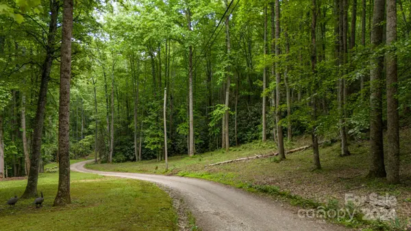 95 Treetops DR, Candler, NC 28715