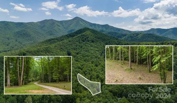 95 Treetops DR, Candler, NC 28715