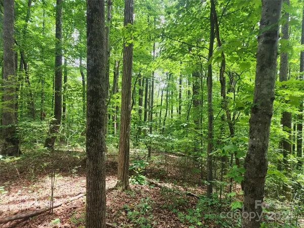 00 Trail Ridge DR #115, Marion, NC 28752