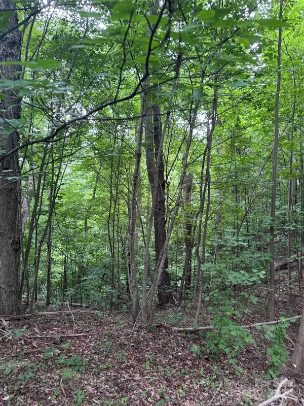 0 Holland DR #18, Columbus, NC 28722